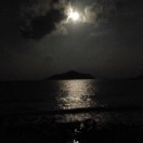 陈洪福42195
