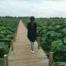 zhuying@2017