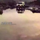 小海豚代号