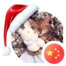 杨镜