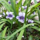 给四季添彩（科）