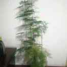 向幸福出发50343