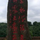 龙哥