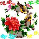 小海豚_58105948
