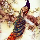    伤不起