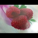 沙漠薏米茶