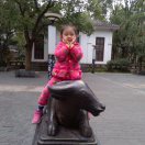 現(xiàn)代圖文