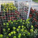 书友20190311071518