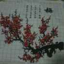 寒冬腊梅43648
