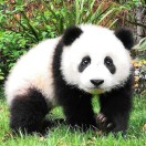 http://thirdwx.qlogo.cn/mmopen/vi_32/Hk6ZTagyeQj4gricqM7qjs6FicT8qClujPibz9n4FPTzkFicDiajSiaBcrpk9B1QAhCNCPokV2EGFWWlK023ocmLibkPA/132