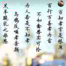 小海豚_43861123