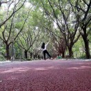 小樱的头像