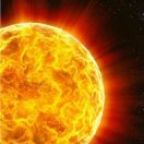 禮太陽