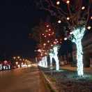 七月的夏天