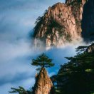 成  【锋】