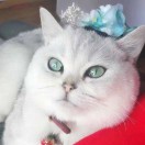 💦TopᐅᐅᐅαУ