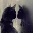 孫智林