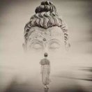 黄天意+最佳互联网开户营销总监