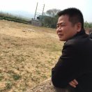 左鞋右穿82457