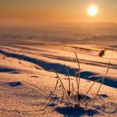 天涯海角掉馅饼