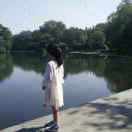 雨……不停的下