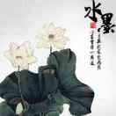 张昊爸爸
