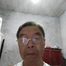 wfl15215262229