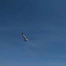 「往事清零」DWJ