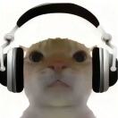 a951225762的头像-951博客