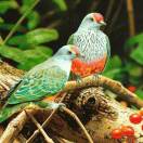 开心快乐13801546236