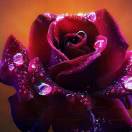 我愿斩断情丝，不忘本心，勿忘初心