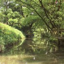 陈美玉