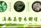 抗癌植物美登木13578425777