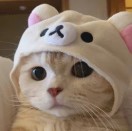 世紀(jì)人傳媒設(shè)計(jì)徐