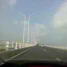 披着羊皮的狼35453