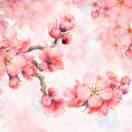 梁静茹-给未来的自己