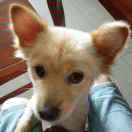 woocoo's Avatar