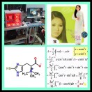 情迷苇音动人的头像-951博客