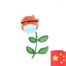 小小