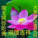 妙音 王淑芬