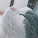 arthurwang's Avatar