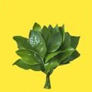 zjn616390260的头像-951博客