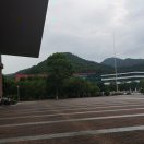 王新（艺名：夏雨）的头像
