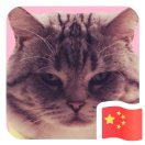 五彩泡泡糖的头像