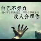 雄鹰77165