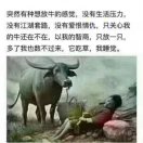 万能胶41561