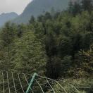 李标11一人去的