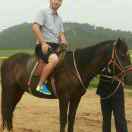 豪哥、专业内外墙涂料、家俱漆。