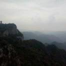 吉祥鳥陶瓷！陳偉朝13525217316