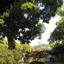 天高云淡（户恩帅）